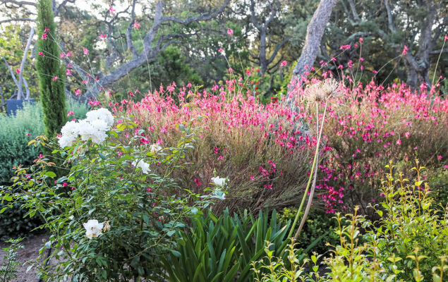 La Cupulatta - Photo 23