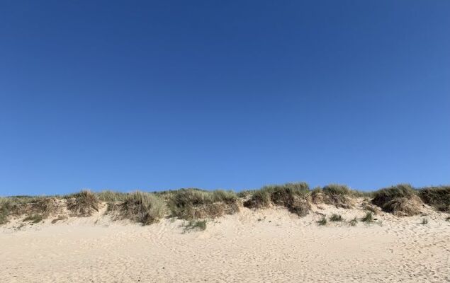 Sea Garden ground floor with garden - Photo 12