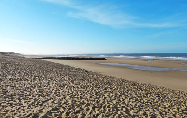 Les Arbousiers - Photo 28