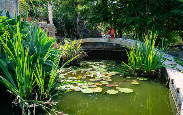 Campestra - Photo 21