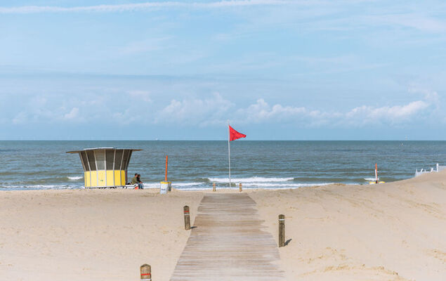 Ter Linde - Photo 21