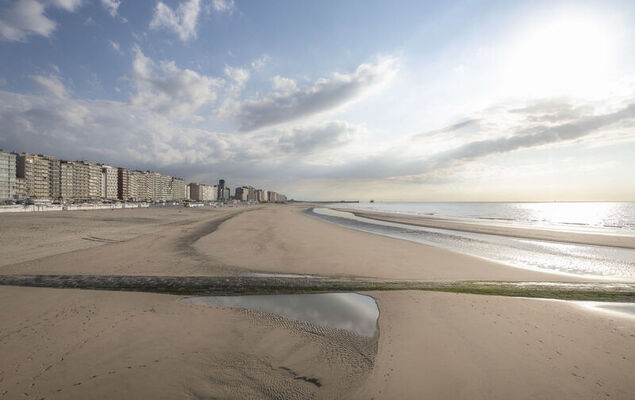 Ter Linde - Photo 22